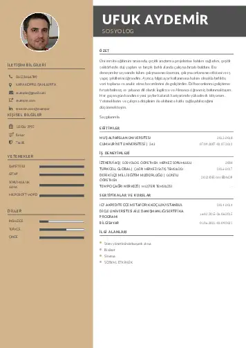 Sosyolog Cv Örnekleri cv indir